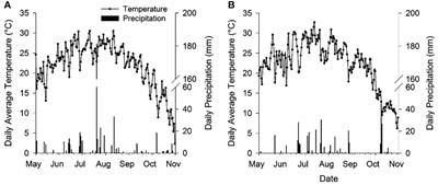Field traffic-induced soil compaction under moderate machine-field conditions affects soil properties and maize yield on sandy loam soil